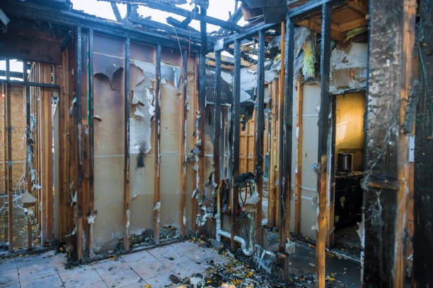 Professional Fire Damage Removal technician working in Louisiana, LA